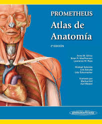 Atlas de anatomía